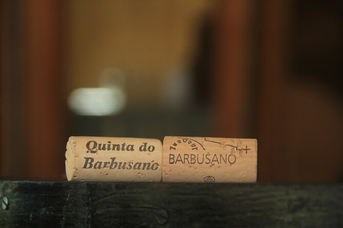 Wine taste, 4x4 Jeep Adventure and Cabo Girão Skywalk - Cabo Girão: the 580-meter cliff and a skywalk you can choose