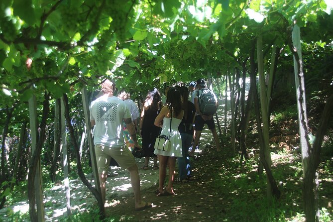 Wine tasting and Jeep Adventure in Madeira's Majestic Countryside - Key Highlights You Will Actually Feel