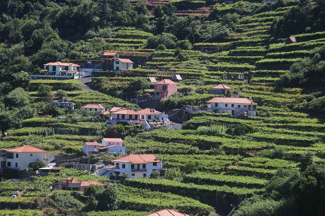 Wine tasting and Jeep Adventure in Madeira's Majestic Countryside - How the 3.5 Hour Cabo Girão and Wine Route Fits Together