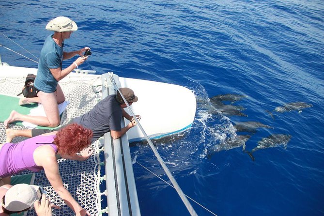 Wines Tasting Experience and Skywalk with Dolphin Watching - Morning Jeep Stops: São Sebastião Views and the Off-Road Start