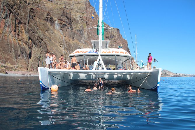 Wines Tasting Experience and Skywalk with Dolphin Watching - What You Get for the Price: Pickup, Wi-Fi, Insurance, and Small-Group Value